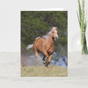 Cartão Bob Langrish Palomino Quarter Horse Running