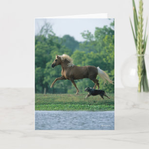 Cartão Bob Langrish Palomino Tennessee Walker e Cachorr