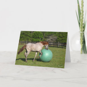 Cartão Bob Langrish Paso Fino Horse Brincando Com Bola