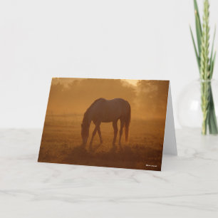 Cartão Bob Langrish   Raça de Cavalo