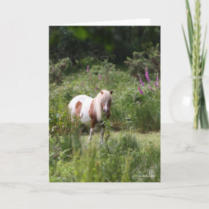 Cartão Bob Langrish Shetland Pony Por Flores