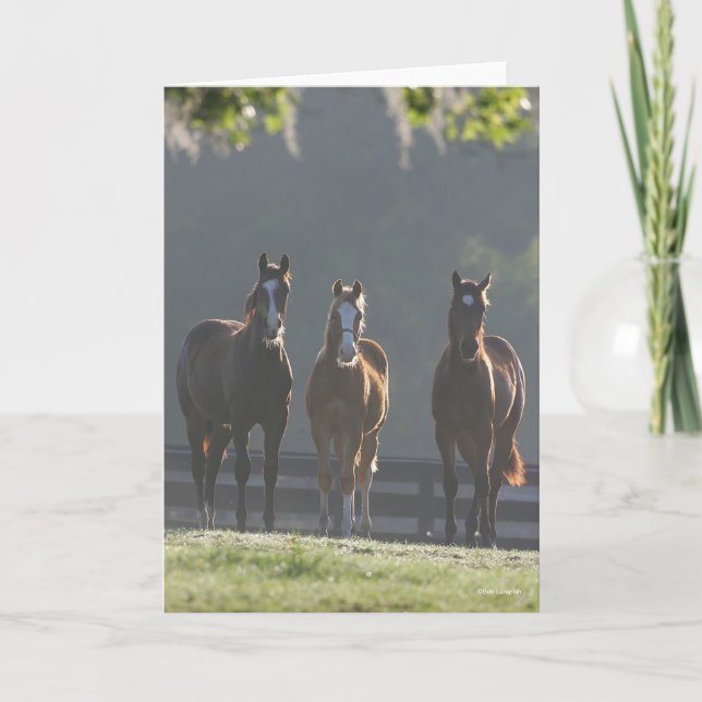 Cartão Bob Langrish | Three Quarter Horse Youngsters (Frente)