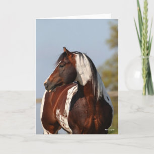 Cartão Bob Langrish Tobiano Paint Stallion Headshot