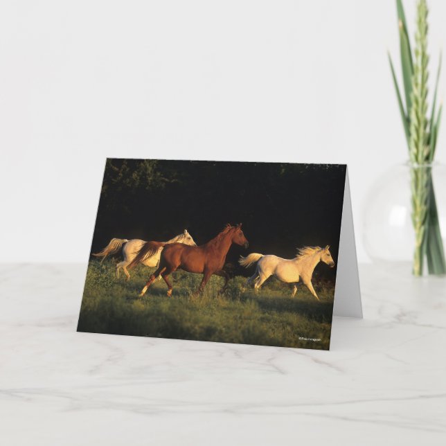 Cartão Bob Langrish Três Árabes Correndo À Noite (Frente)