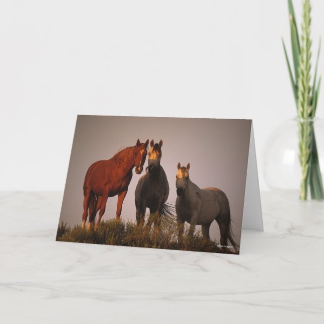 Cartão Bob Langrish | Três Árabes Em Pé De Sol (Frente)