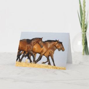 Cartão Bob Langrish   Triplo Andaluciano Mares Running