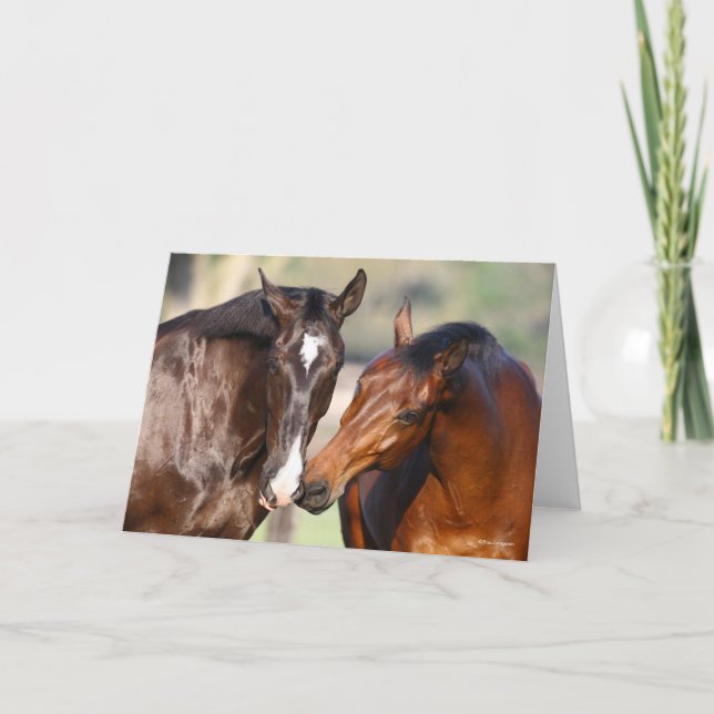 Cartão Bob Langrish | Two Canadian Sport Horses Meeting (Frente)