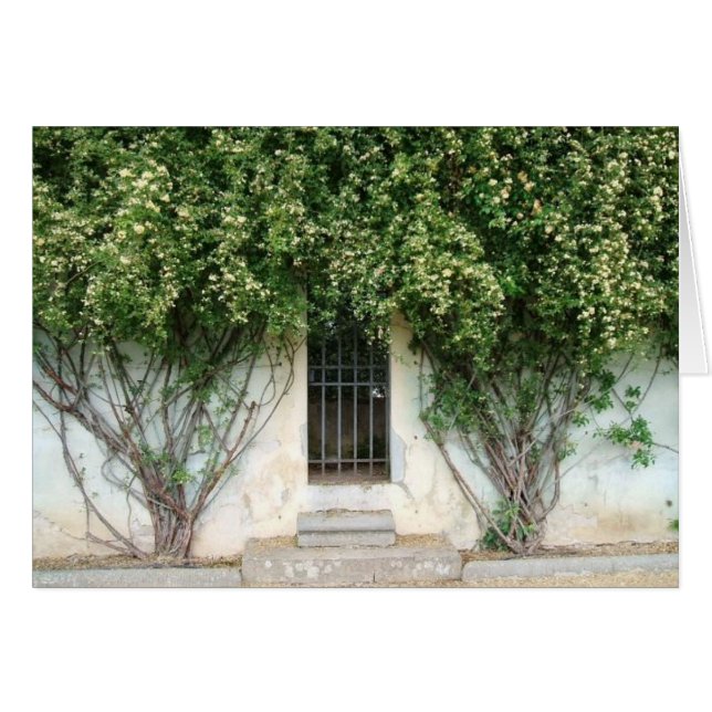 Cartão Boboli Gardens (Frente horizontal)