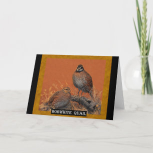 Cartão Bobwhite Quail (Georgia, Missouri e Tennessee)
