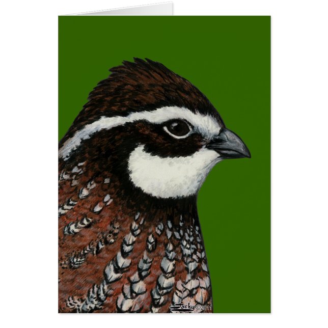 Cartão Bobwhite Quail Head (Frente)