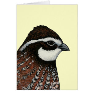 Cartão Bobwhite Quail Head