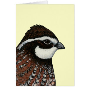 Cartão Bobwhite Quail Head