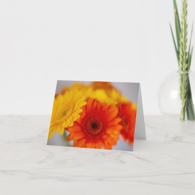 Cartão Boca de Gerber Suave (Frente)