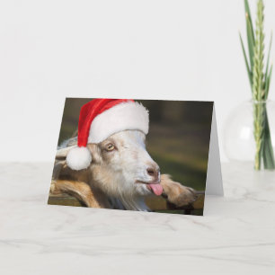 Cartão Bode de Natal