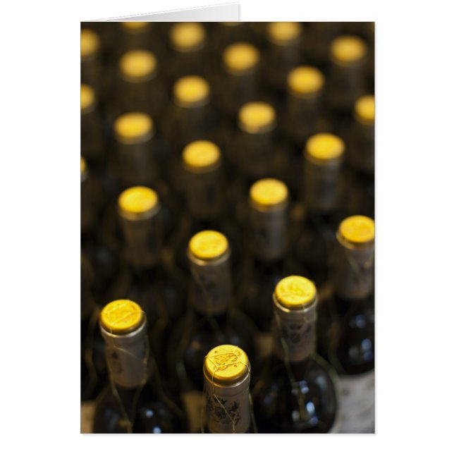 Cartão Bodega Marques de Riscal, garrafas de vinho (Frente)