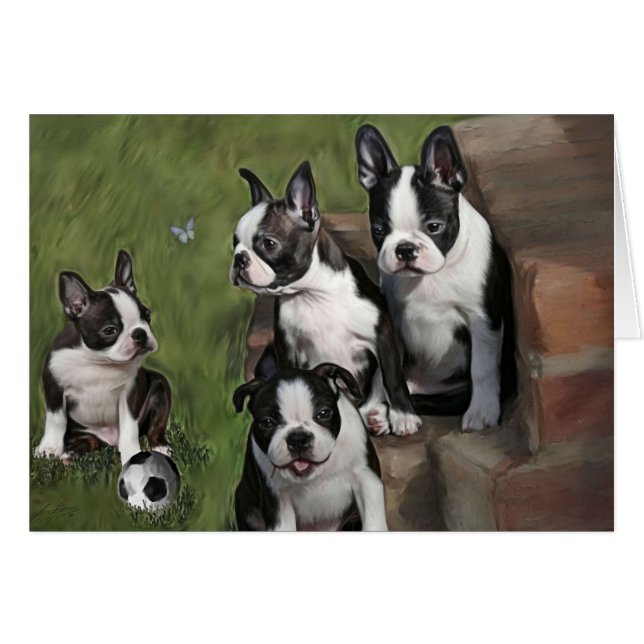 Cartão Boinas Terrier de Boston (Frente Horizontal)