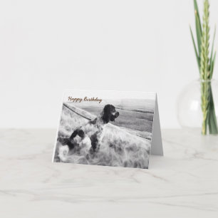 Cartão Boker Spaniel Birthday