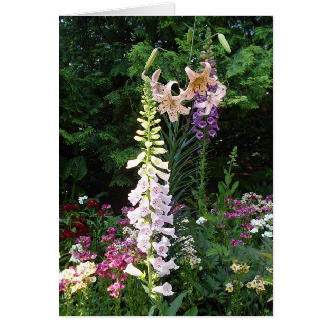 Cartão Bolas em Bloom (Frente)