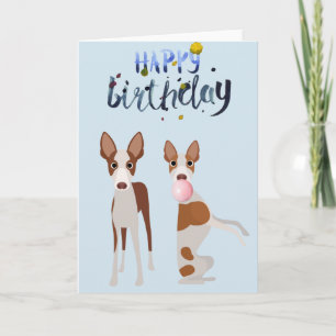 Cartão Bolo de Aniversário do Cão de Ibizan Animal Chicle
