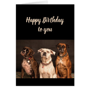 Cartão Bolo de Bolo de Aniversário do nosso Boxer Dog Di
