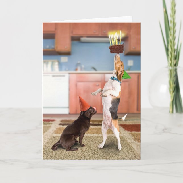 Cartão Bolo de equilíbrio (Frente)