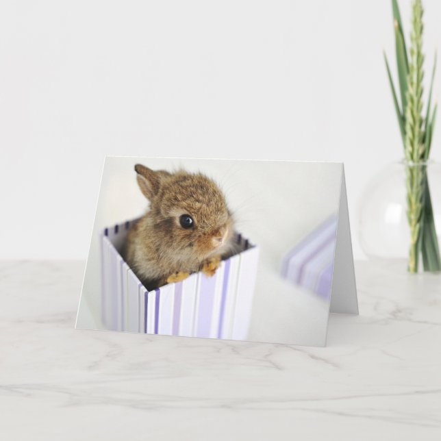 Cartão Bolo na caixa! (Frente)