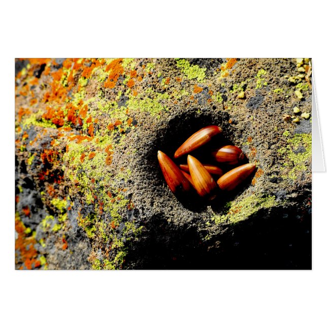 Cartão Bolota (Frente Horizontal)