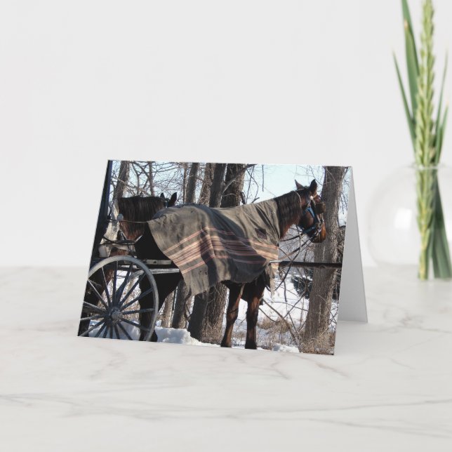 Cartão Bolsa de inverno (Frente)