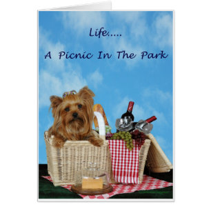 Cartão Bolsa de Piquenique Yorkie