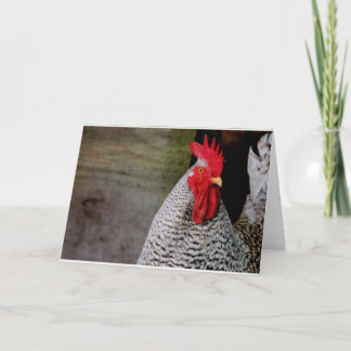 Cartão Bom Dia, Elmer!