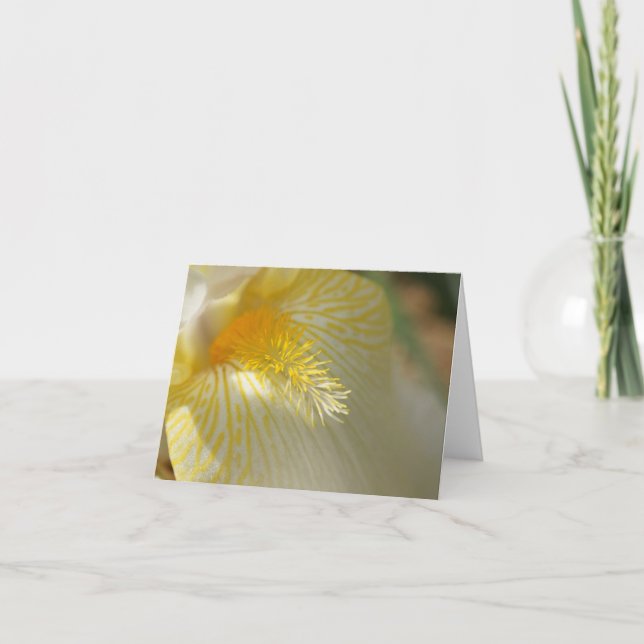 Cartão Bom dia, íris! (Frente)