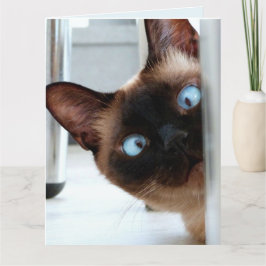 CARTÃO BOM GATO SIAMESSO, ESPIANDO FELIZ ANIVERSÁRIO! CAR