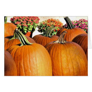 Cartão Bombas e Mães