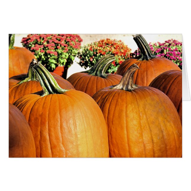 Cartão Bombas e Mães (Frente Horizontal)