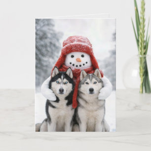 Cartão Boneco de Neve de Natal Abraçando Cães Husky Siber