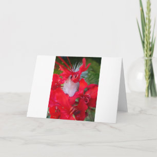 Cartão Bonita Alienígena Crimson.jpg