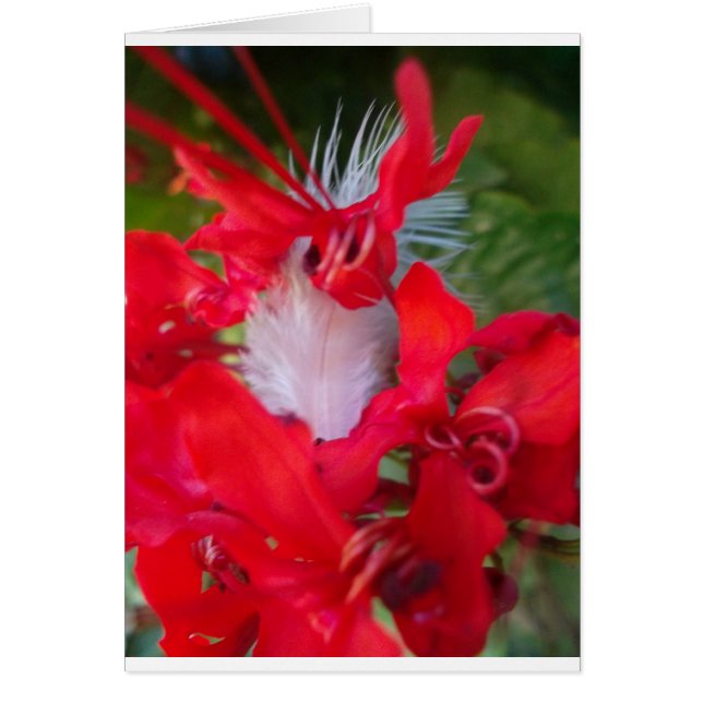 Cartão Bonita Alienígena Crimson.jpg (Frente)