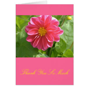 Cartão Bonita Dahlia de Rosa