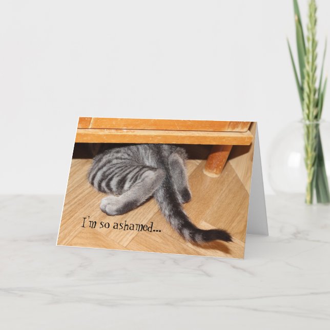 Cartão Bonita Desculpas Gato Engraçado, Desculpe, Tão Env (Frente)