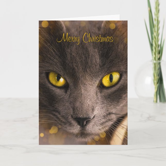 Cartão Bonita Gato Marrom com Dourado Natal (Frente)