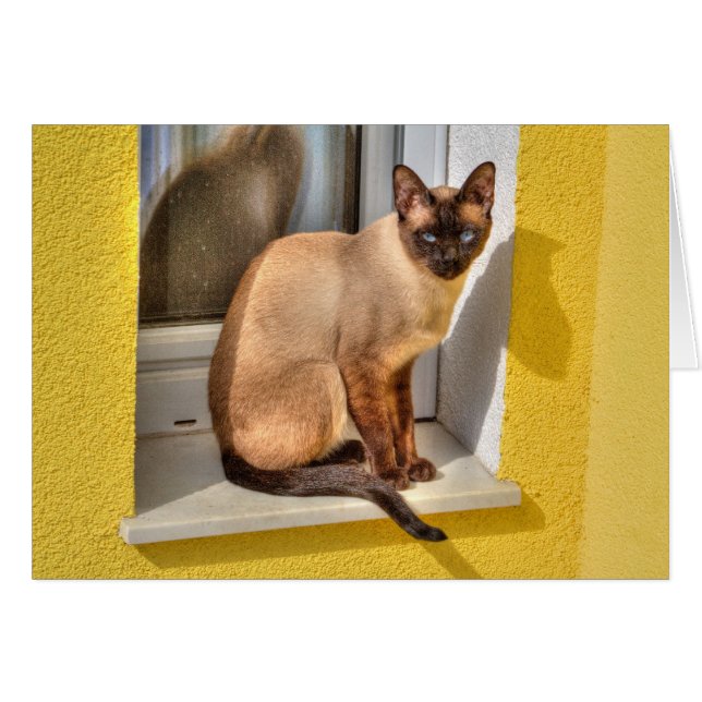 Cartão Bonita Gato Siamês (Frente Horizontal)