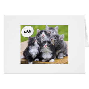 CARTÃO BONITA KITTENS DESEJA A ALGUÉM UM ANIVERSÁRIO FELI