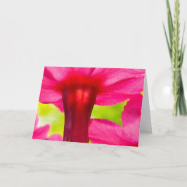 Cartão Bonita, Maciça, Natureza Floral Rosa