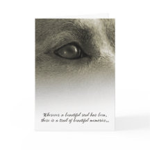 Bonita Simpatia por Cachorro de Alma - Consulte De