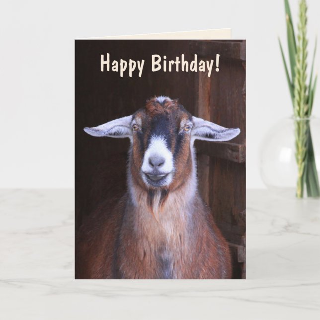 Cartão Bonitão Goat Birthday (Frente)