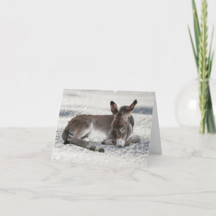 Cartão Bonitinho Donkey no Natal da Neve