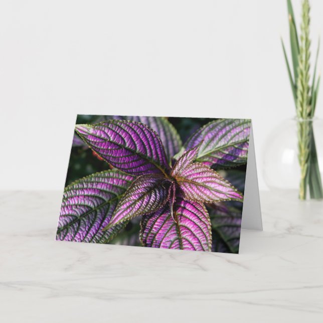 Cartão bonito (Frente)