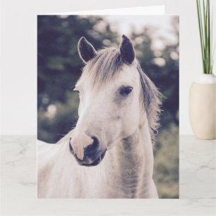 CARTÃO BONITO ANIVERSÁRIO DE CAVALO BRANCO
