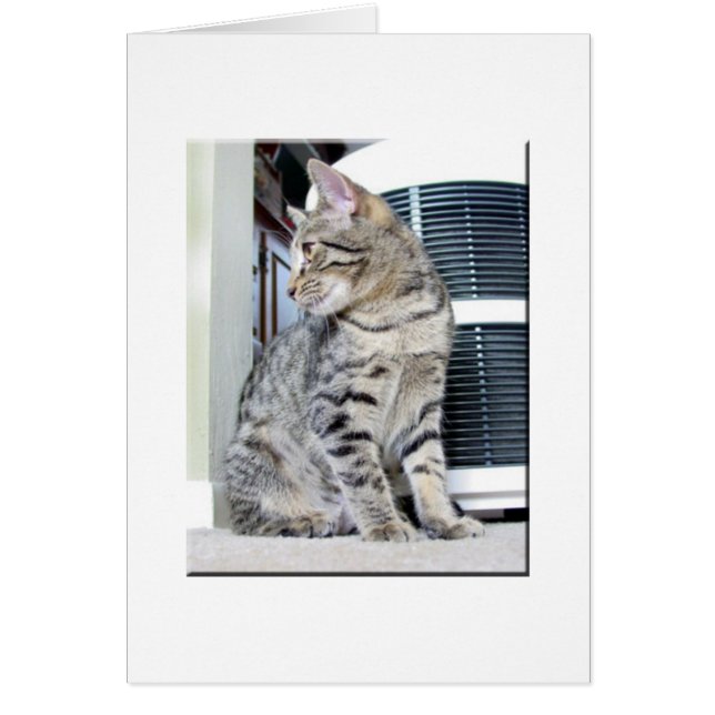 Cartão Bonito Bebê Bengala (Frente)