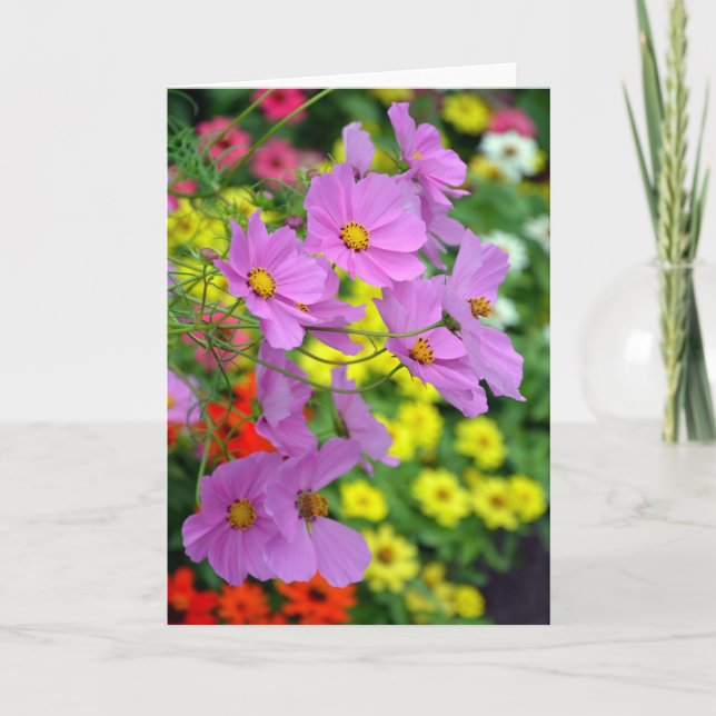 Cartão Bonito cosmos flores impressão (Frente)